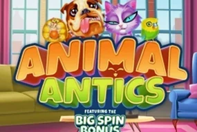 Animal Antics